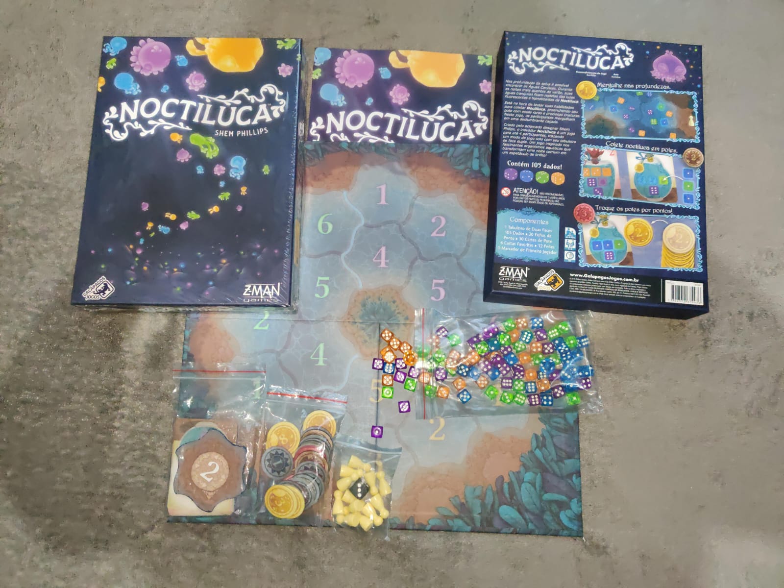 Noctiluca - Imagem 7