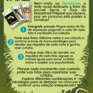 VersoCaixaAmaZoom
