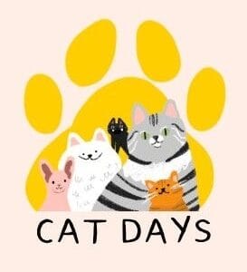 Dias de Gato