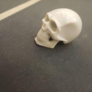 Zombicide: 2nd Edition - First Player Skull Token